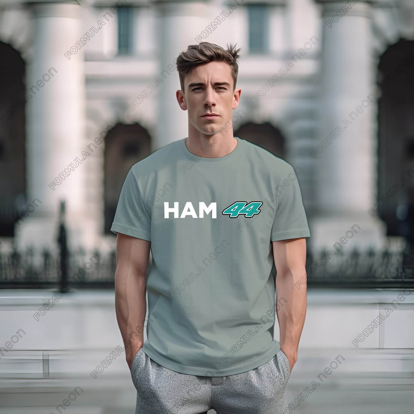 ham-tee-color-d5_||_Bay