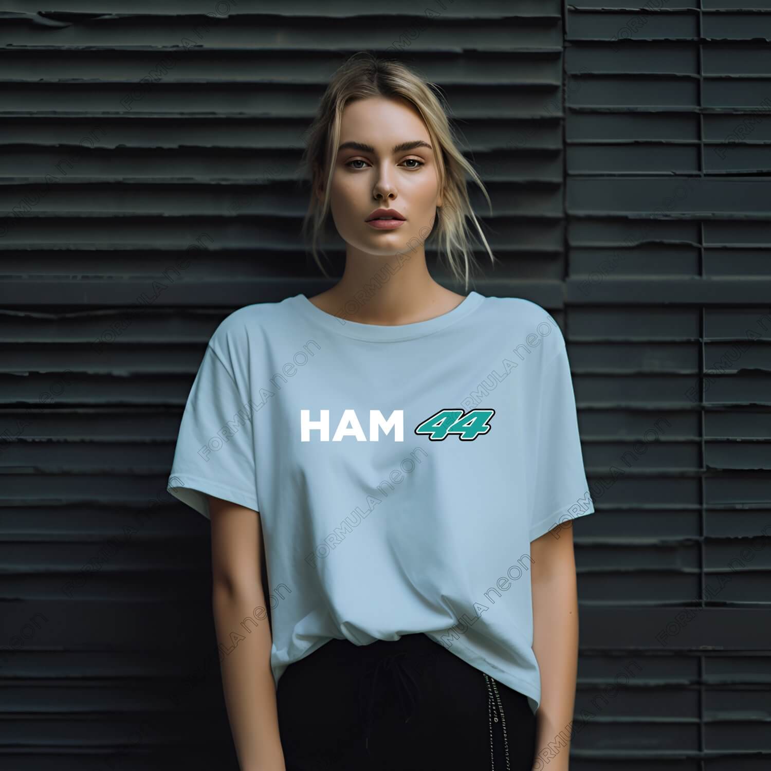 ham-tee-color-d5_||_Chambray